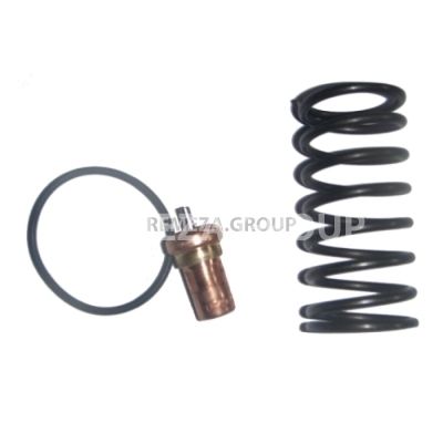 Ремкомплект клапана термостата VT-VTFT25/27-83 VMC 2701385 Ремкомплект клапана термостата VT-VTFT25/27-83 VMC 2701385 фото