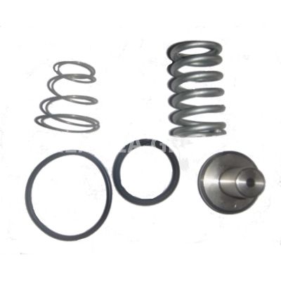 Ремкомплект клапана минимального давления G10 3/4" VMC 2200010 Ремкомплект клапана минимального давления G10 3/4" VMC 2200010 фото