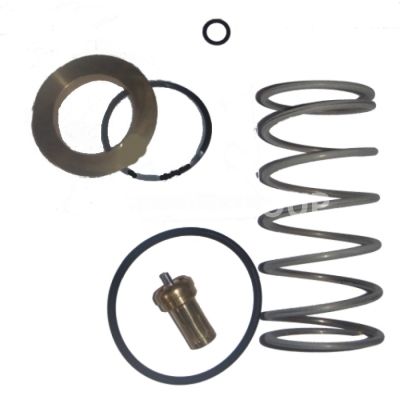 Ремкомплект всасывающего клапана RB115E Kit VMC 6205160 Ремкомплект всасывающего клапана RB115E Kit VMC 6205160 фото